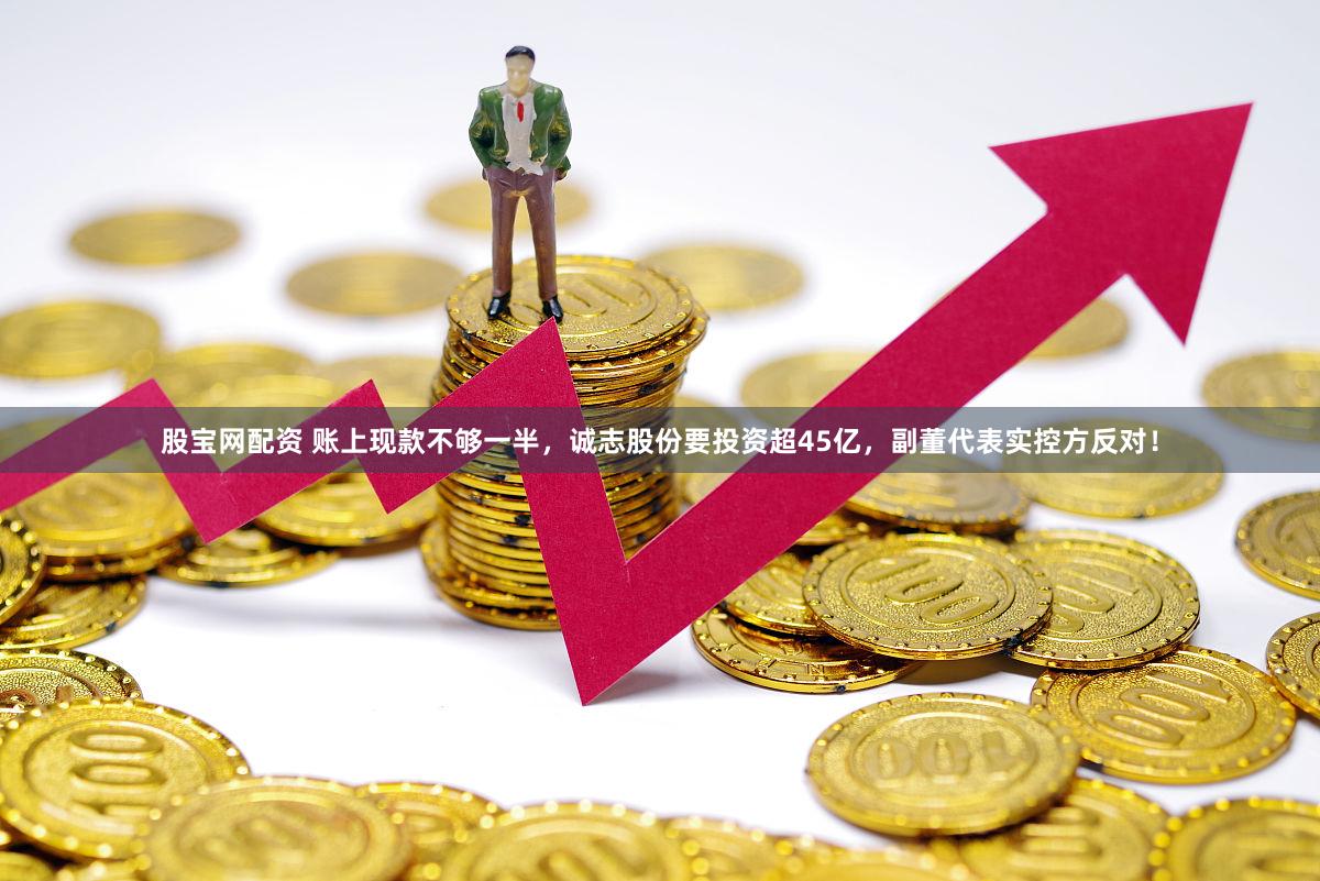 股宝网配资 账上现款不够一半，诚志股份要投资超45亿，副董代表实控方反对！