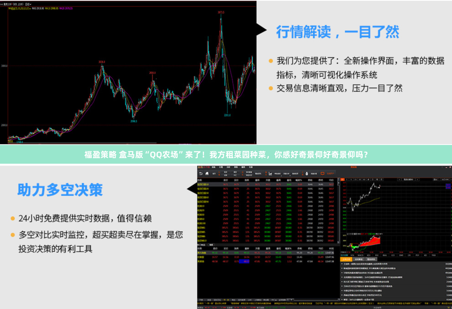 福盈策略 盒马版“QQ农场”来了！我方租菜园种菜，你感好奇景仰好奇景仰吗？