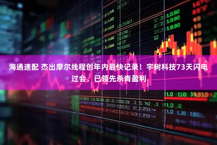 海通速配 杰出摩尔线程创年内最快记录！宇树科技73天闪电过会，已领先杀青盈利