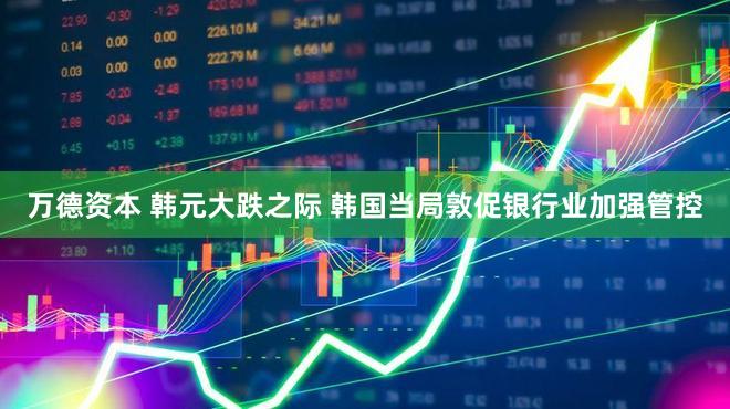 万德资本 韩元大跌之际 韩国当局敦促银行业加强管控