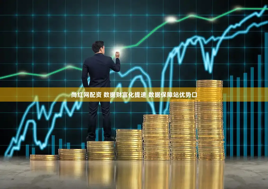 尚红网配资 数据财富化提速 数据保障站优势口