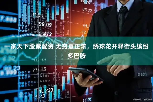 一家天下股票配资 无穷夏正浓，绣球花开释街头缤纷多巴胺