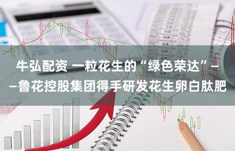 牛弘配资 一粒花生的“绿色荣达”——鲁花控股集团得手研发花生卵白肽肥