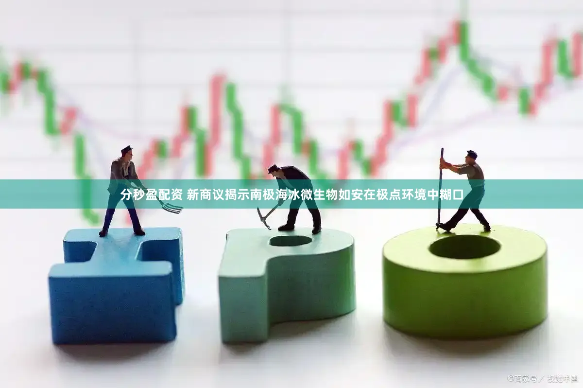 分秒盈配资 新商议揭示南极海冰微生物如安在极点环境中糊口